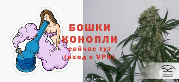 бутират Белокуриха