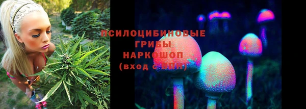индика Беломорск