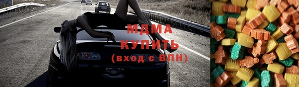индика Беломорск