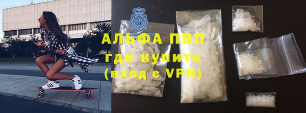 индика Беломорск