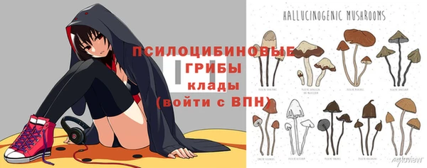 индика Беломорск