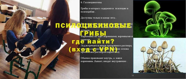 индика Беломорск