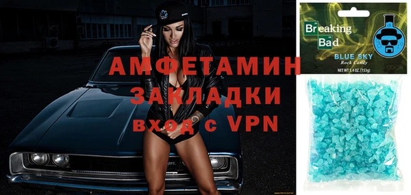 индика Беломорск