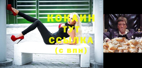 индика Беломорск