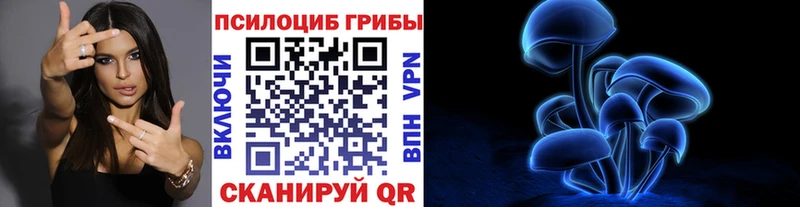 omg ССЫЛКА  Купино  Галлюциногенные грибы Psilocybine cubensis  даркнет сайт 